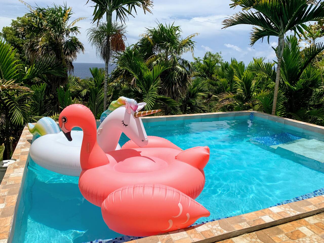 The Coconut Palm Villa ~ Ocean View Suite ll - Apartment