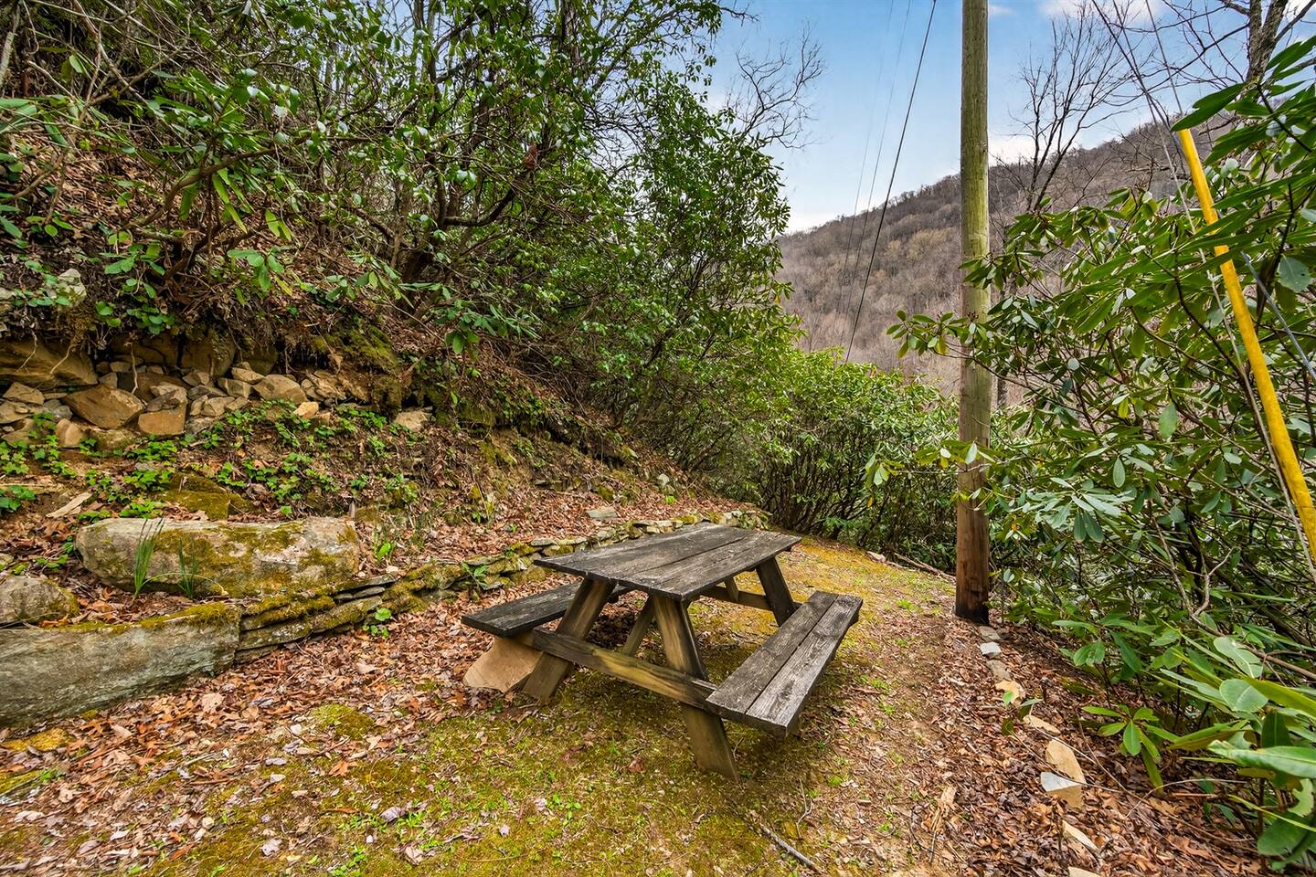 Mama Bear's Cabin — Bryson City, NC