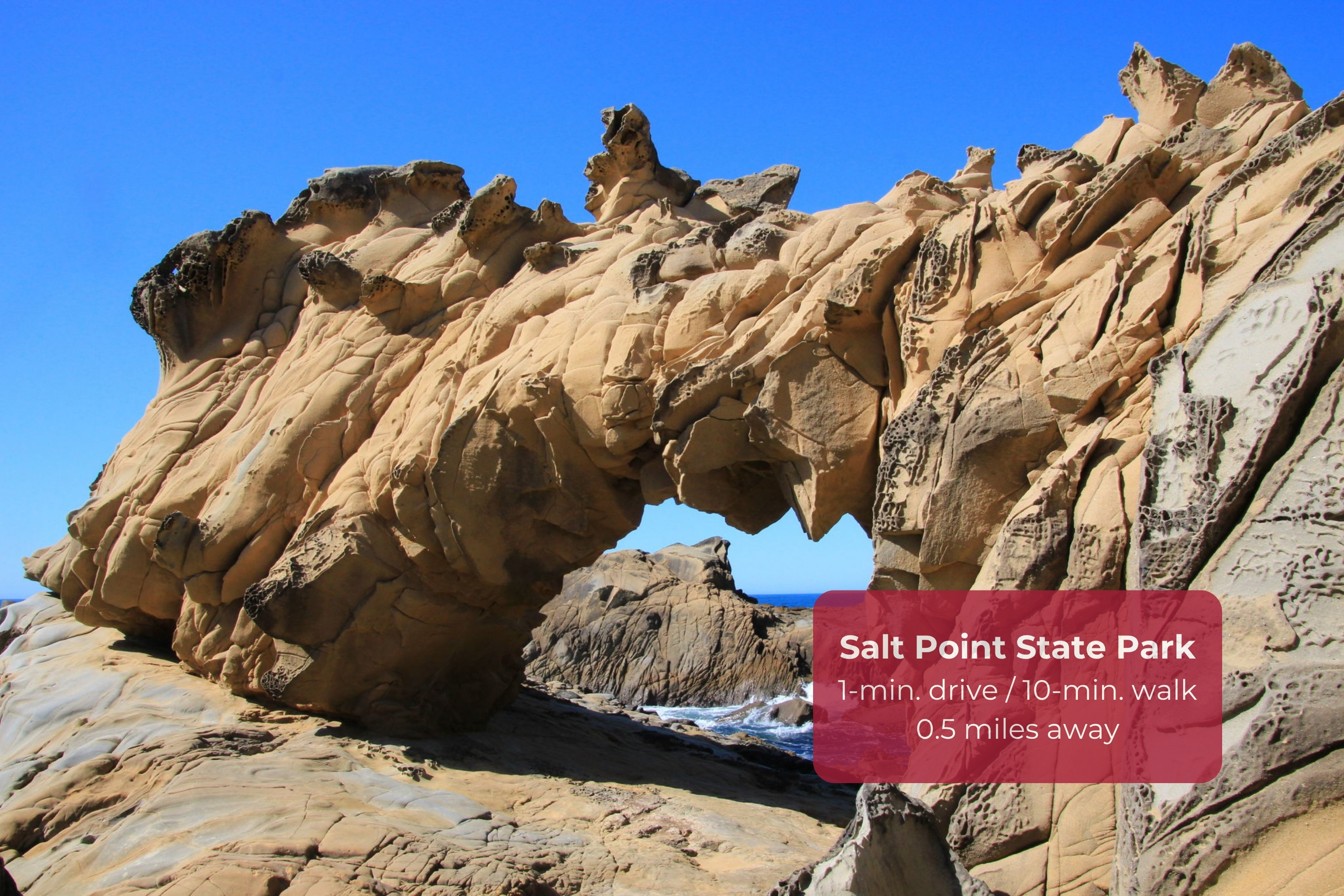 Walk to Salt Point State Park and stunning coastal rock formations