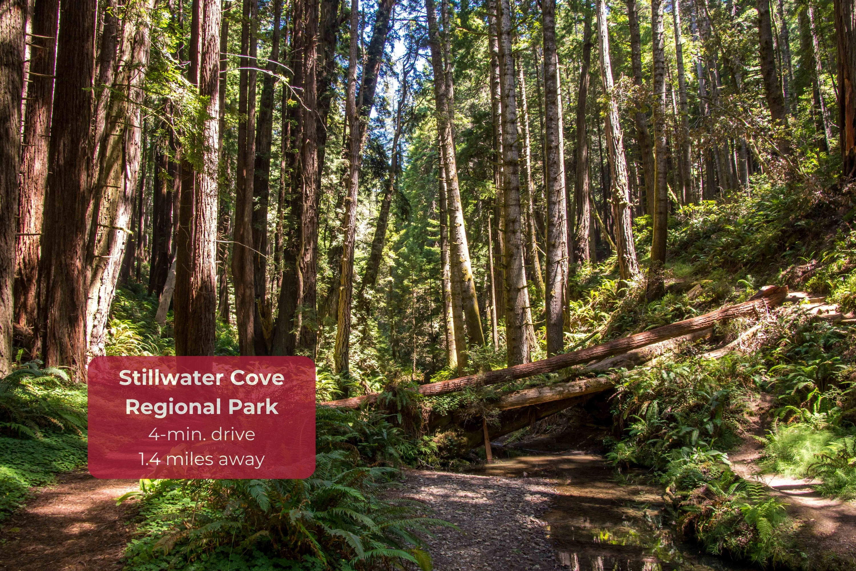 Stillwater Cove Regional Park just 4 minutes away for scenic forest walks