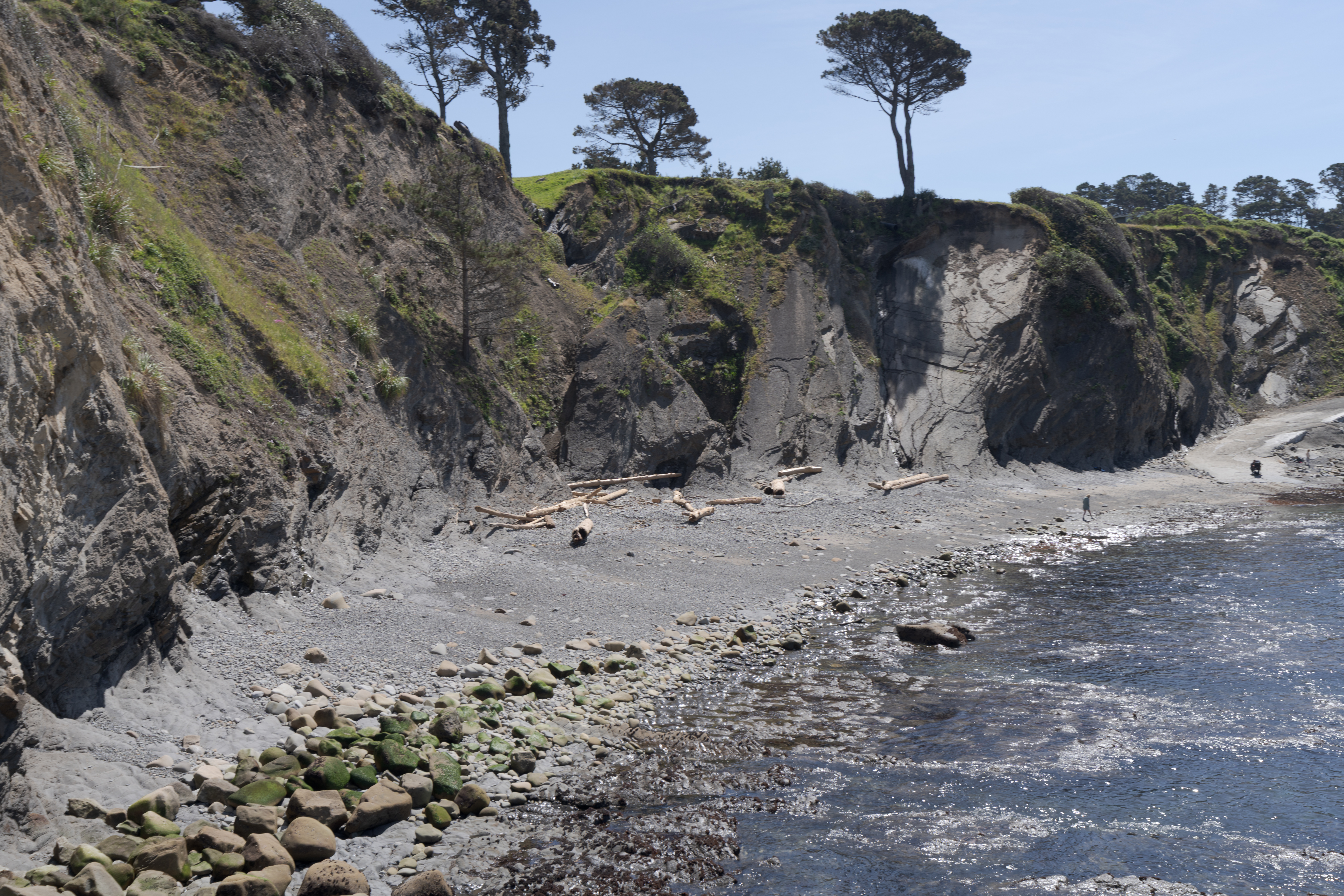 Dramatic cliffside cove with tide pools and driftwood-strewn beach