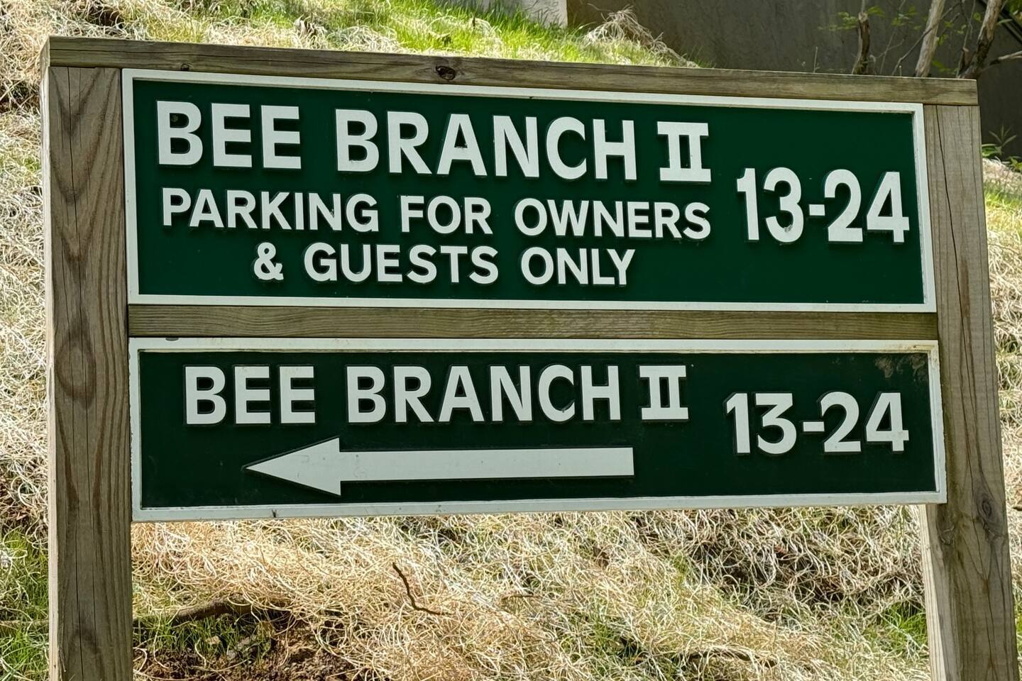 Bee Branch community