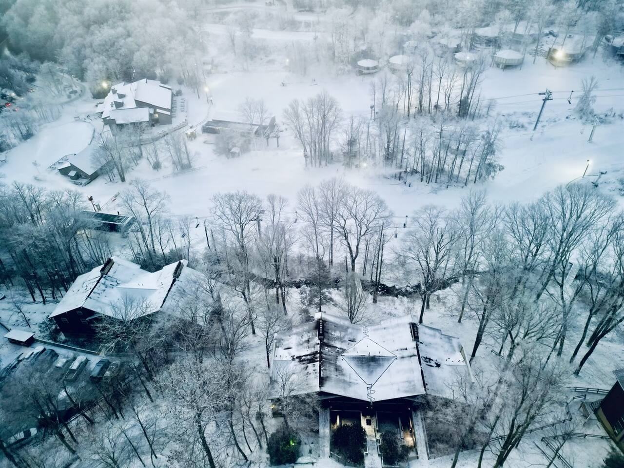 Snowy bliss
