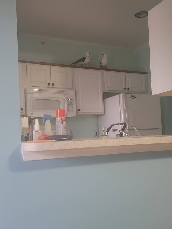 Seagulls Nest photo 6