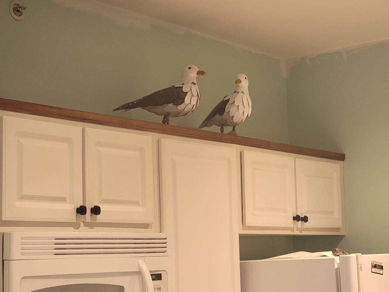Seagulls Nest photo 4