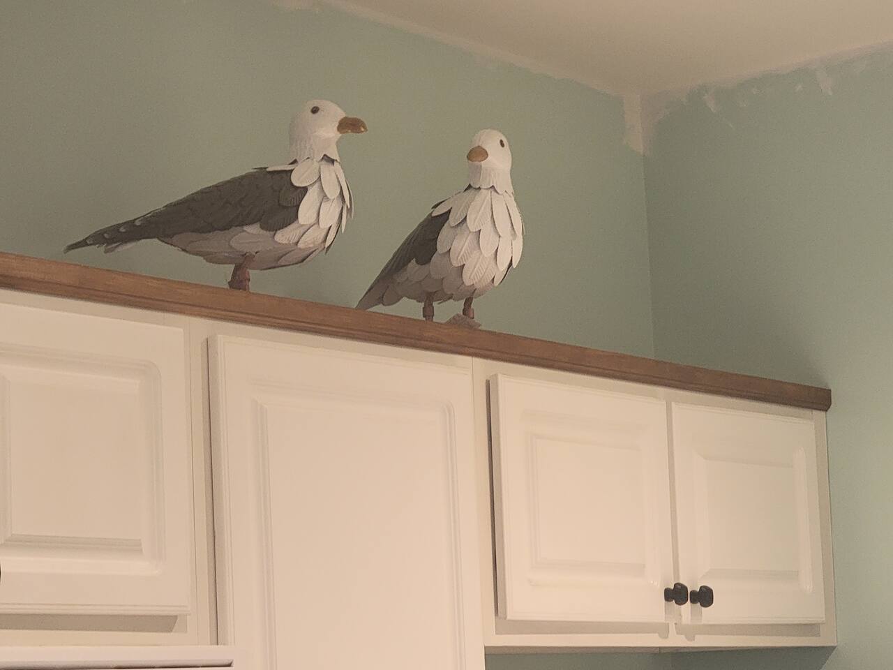 Seagulls Nest photo 7