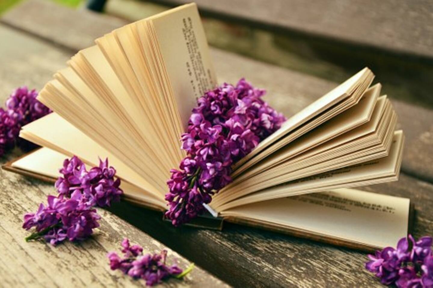 Capel Haven House by Ready Set Stay