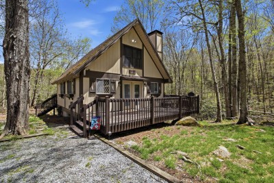 Beech Mtn Pet Friendly Cabin – Trails + Fire Pit! photo 4
