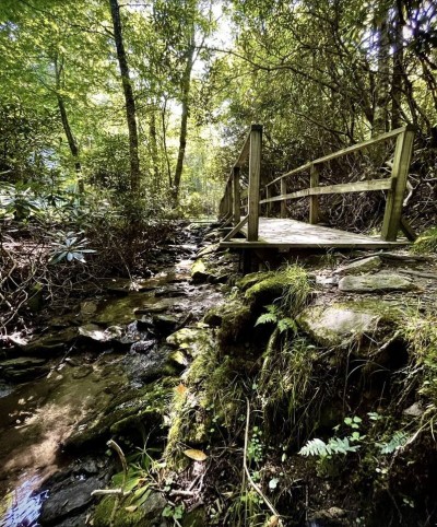 The Upper Pond Trail on Beech Mountain is just steps away from the cabin and is a 2-mile "out and back" easy hiking trail you can access without having to get in a car. 