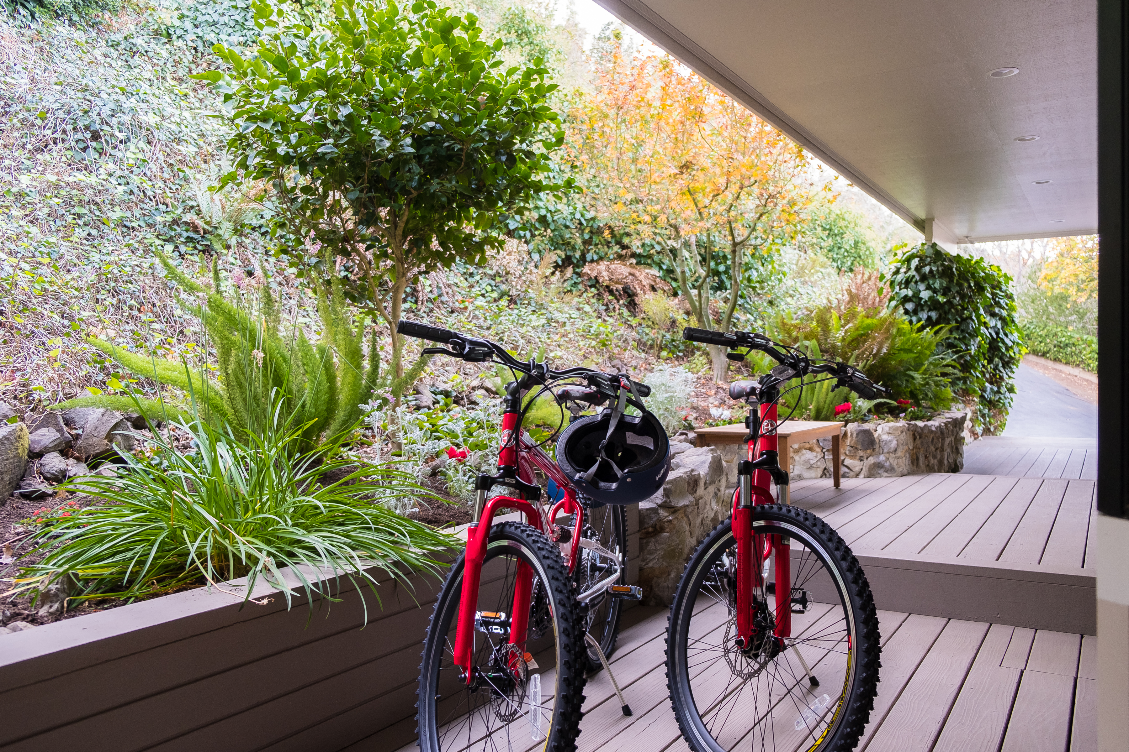 Covered garden patio with bikes and a peaceful, nature-filled setting