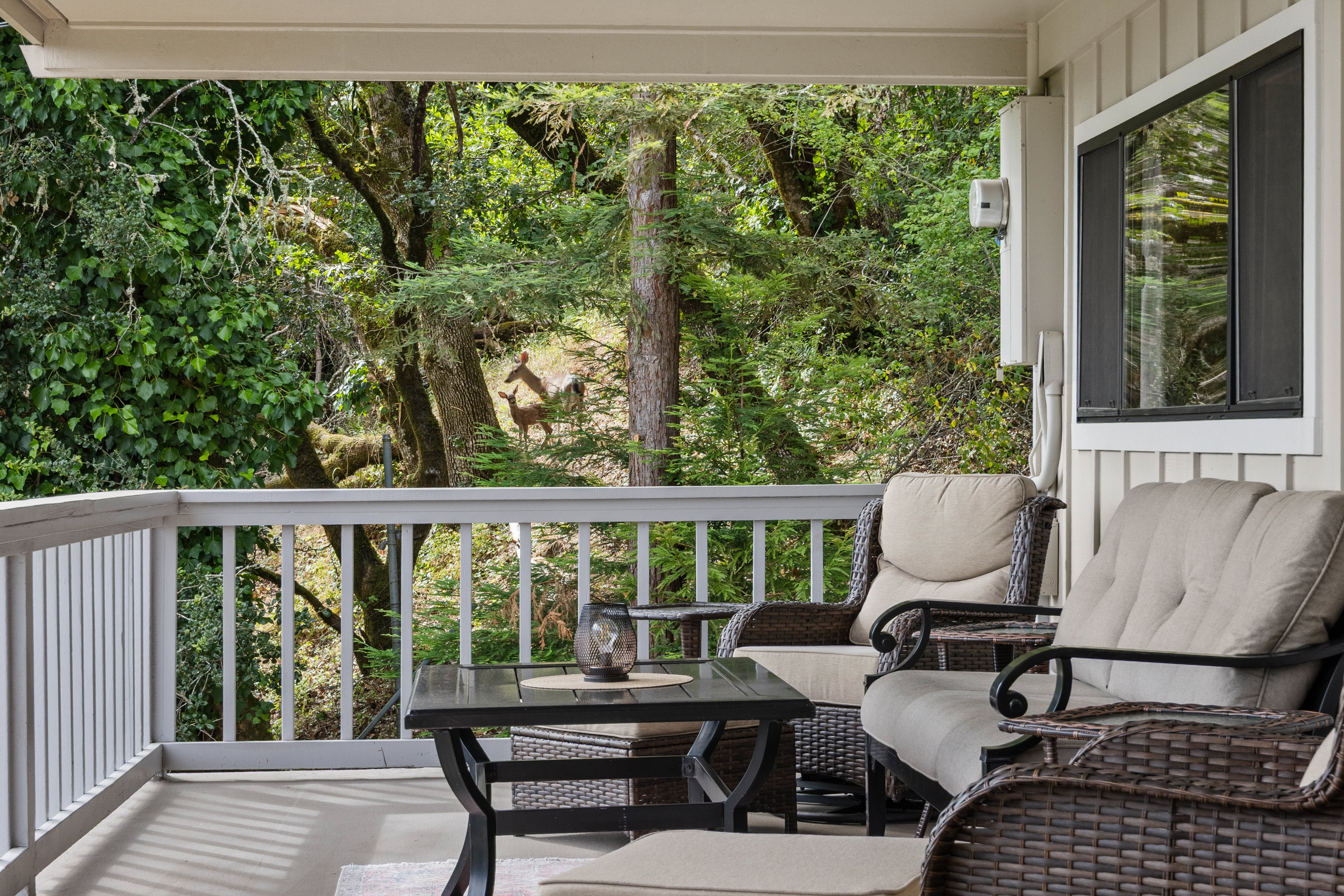 Relax on the private covered porch with peaceful forest views