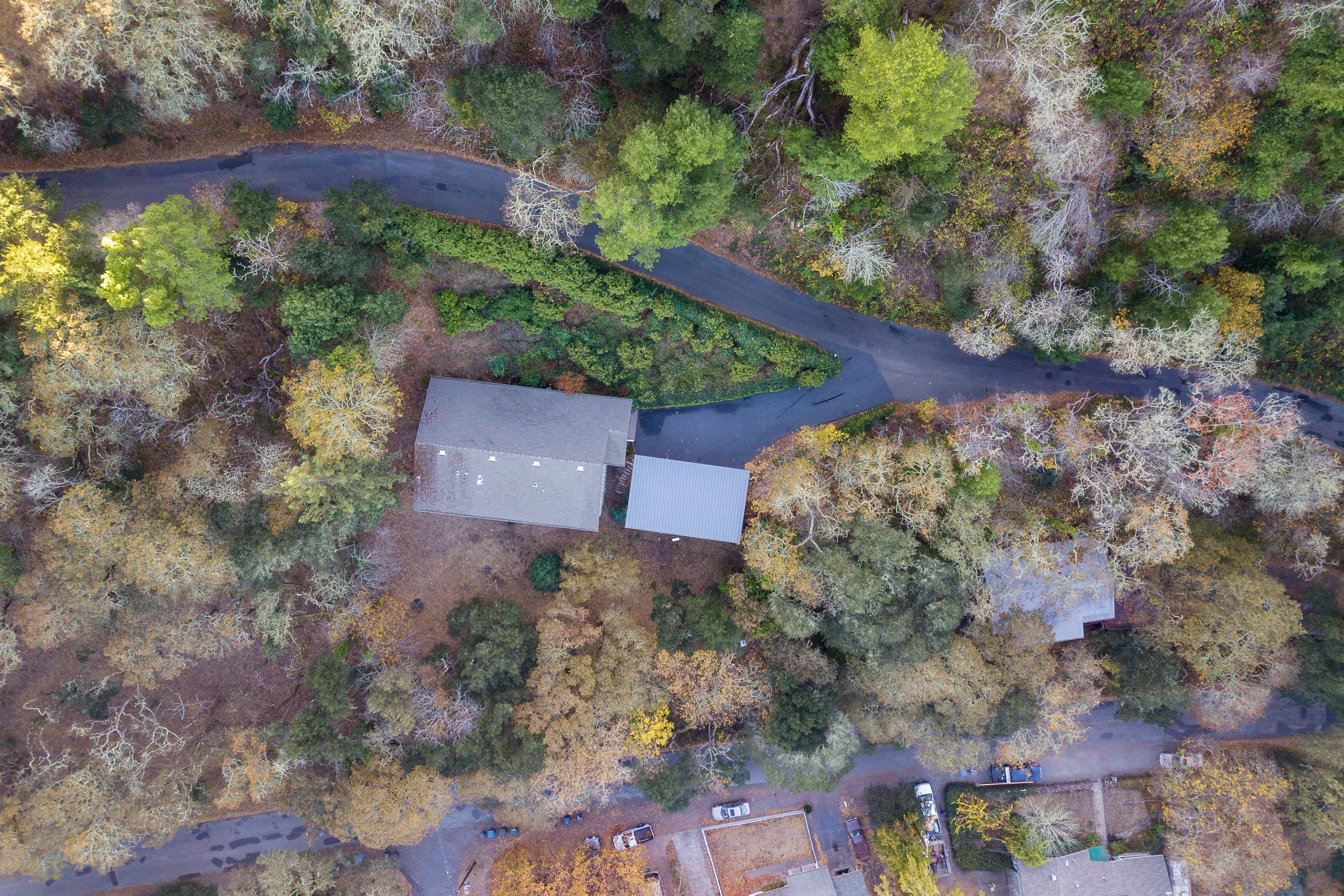 Secluded woodland retreat with private driveway and peaceful natural setting