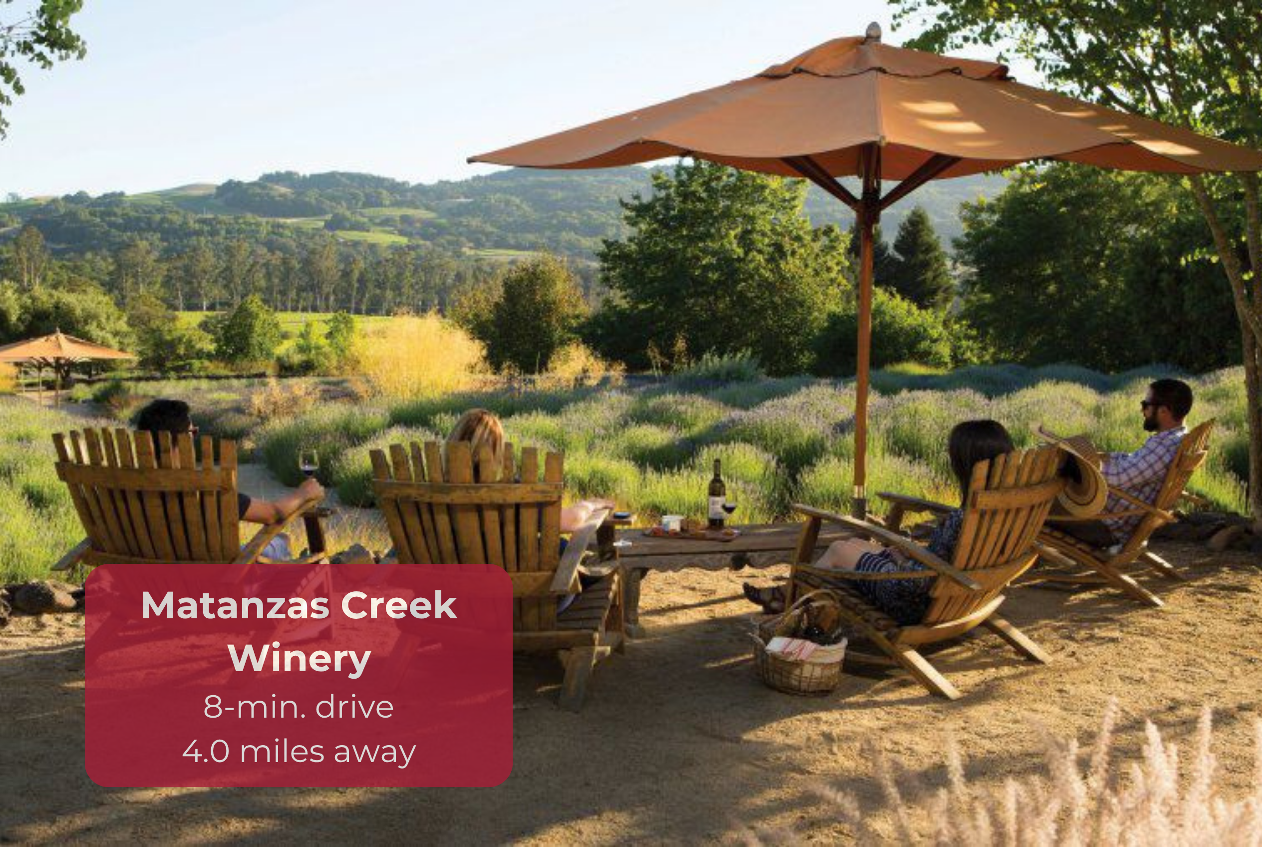 Relax under shaded loungers with lavender views, minutes from Matanzas Creek Winery