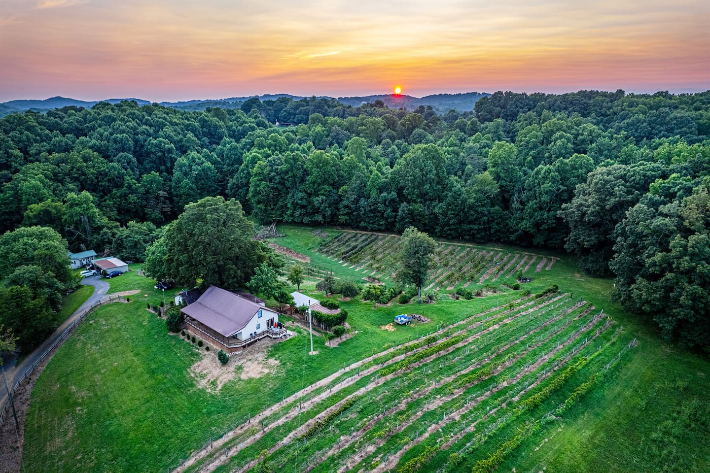 Jonesborough Vineyards — Jonesborough, TN