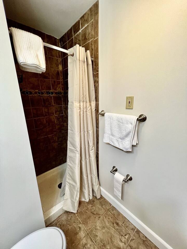 Guest bathroom