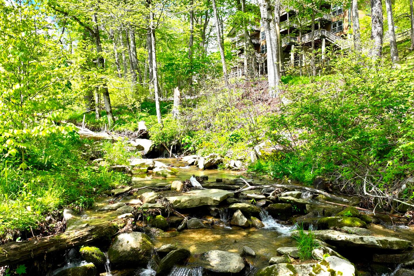 Hear the stream and birds from the window