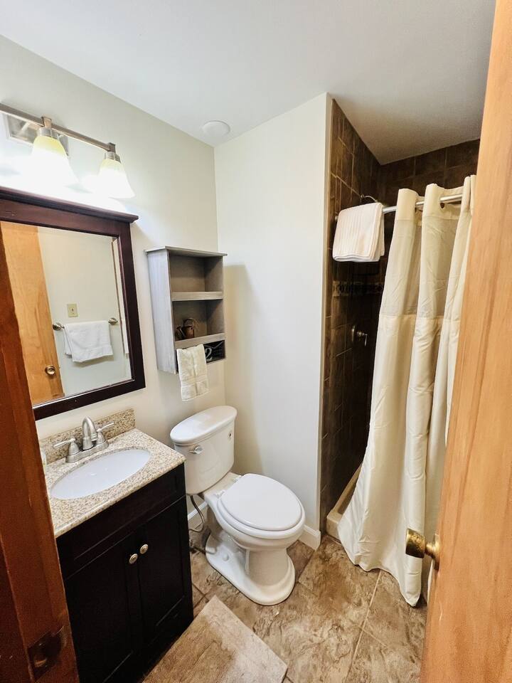 Guest bathroom