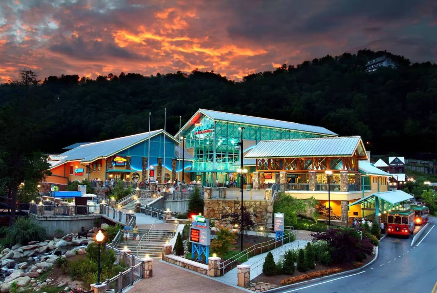 Ripley's Aquarium in Gatlinburg: 12-foot sharks, a giant sea turtle, thousands of exotic sea creatures, & playful penguins. Spectacular, State-of-the-Art Underwater Tunnels. Feed the Stingrays. Adventure over Shark Lagoon on the Glass Bottom Boat.