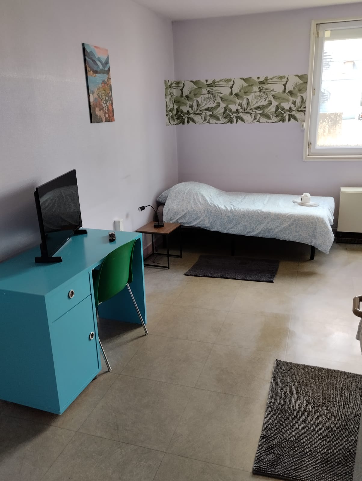 Bright single room with desk, TV, and fresh botanical accents