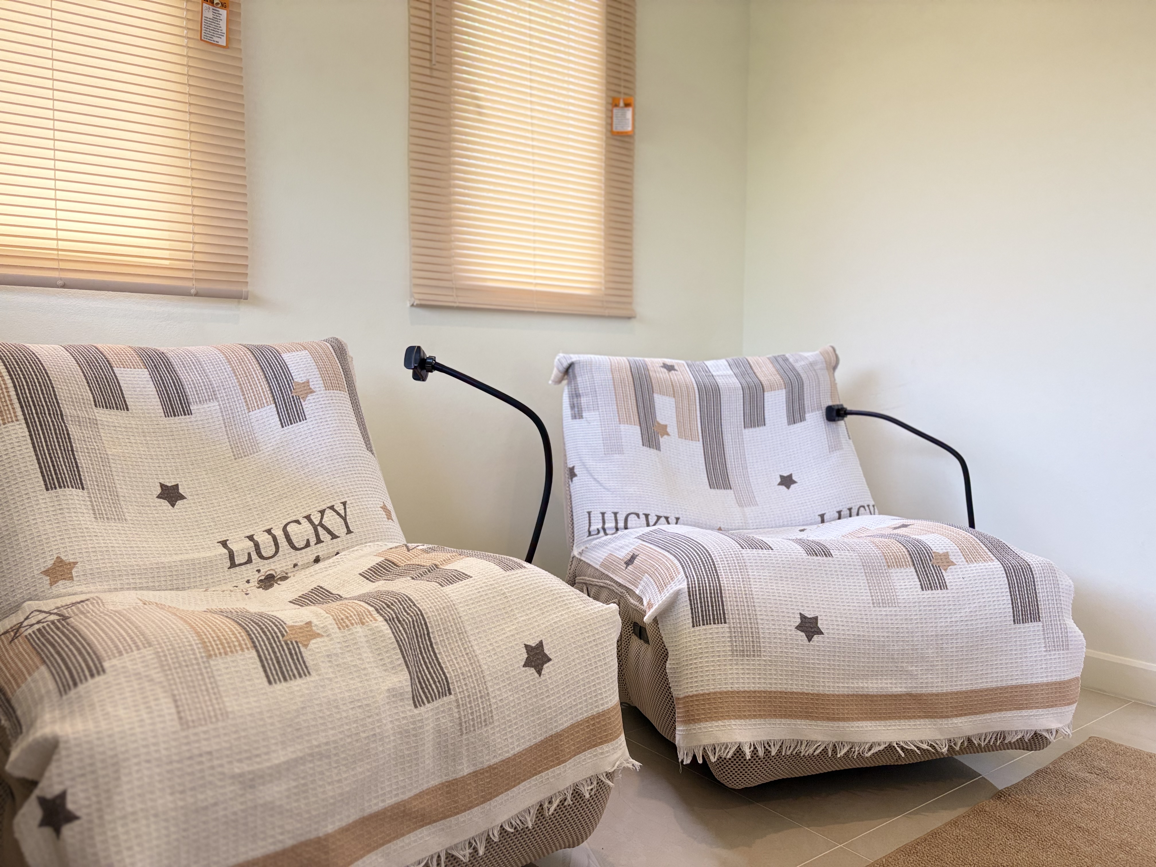 Cozy sunlit seating nook with two comfy lounge chairs