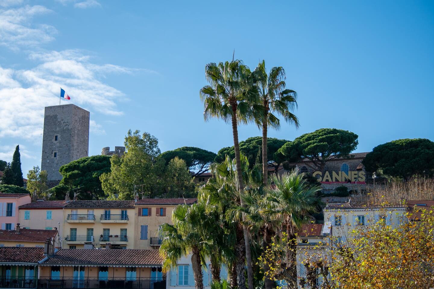 Apartment 5 min walk from Palais des Festivals · 6