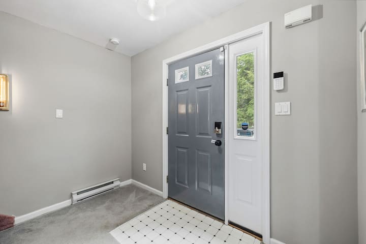 Bright, modern entryway with natural light and a sleek gray front door