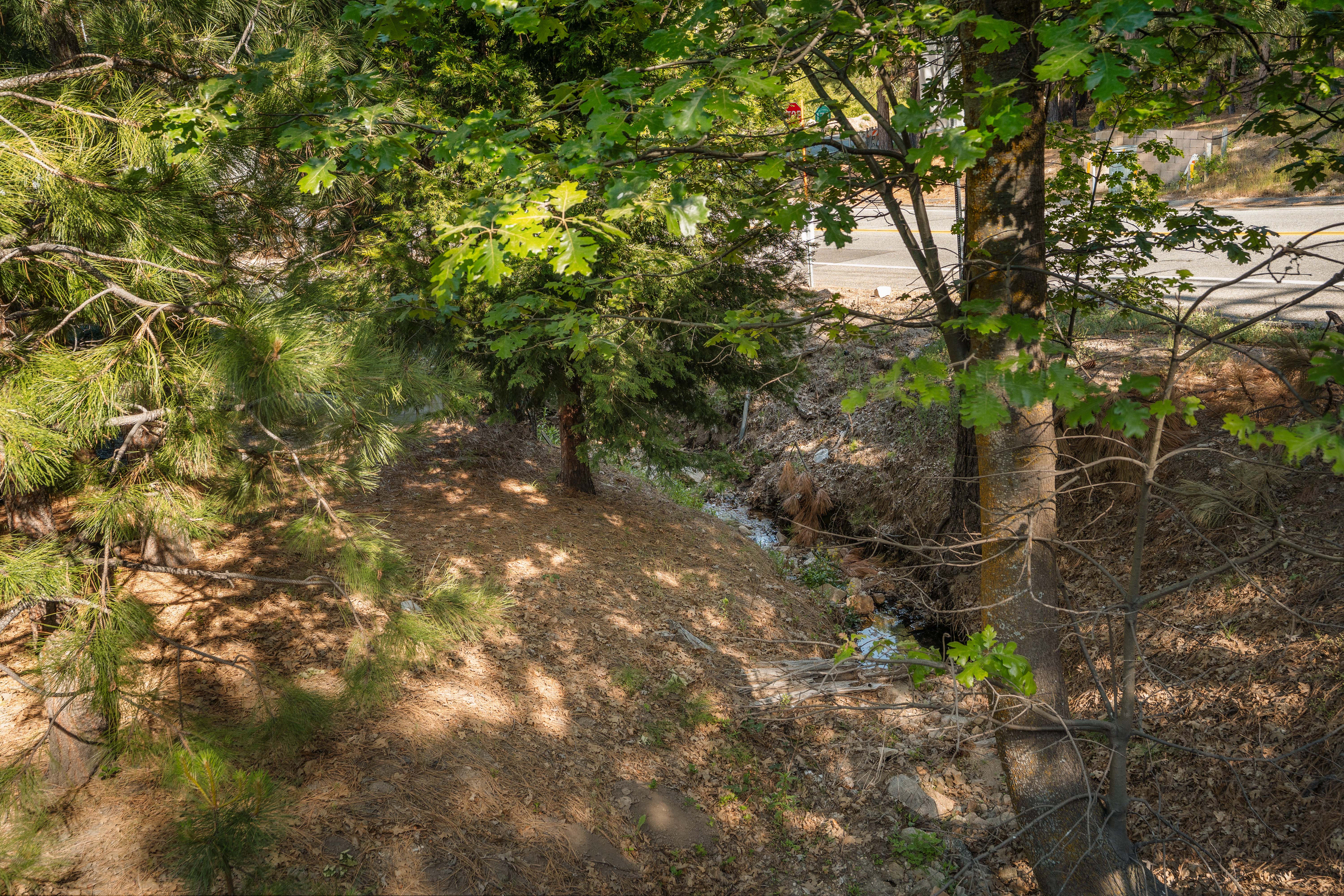 Peaceful wooded setting with mature trees and a natural creekside feel