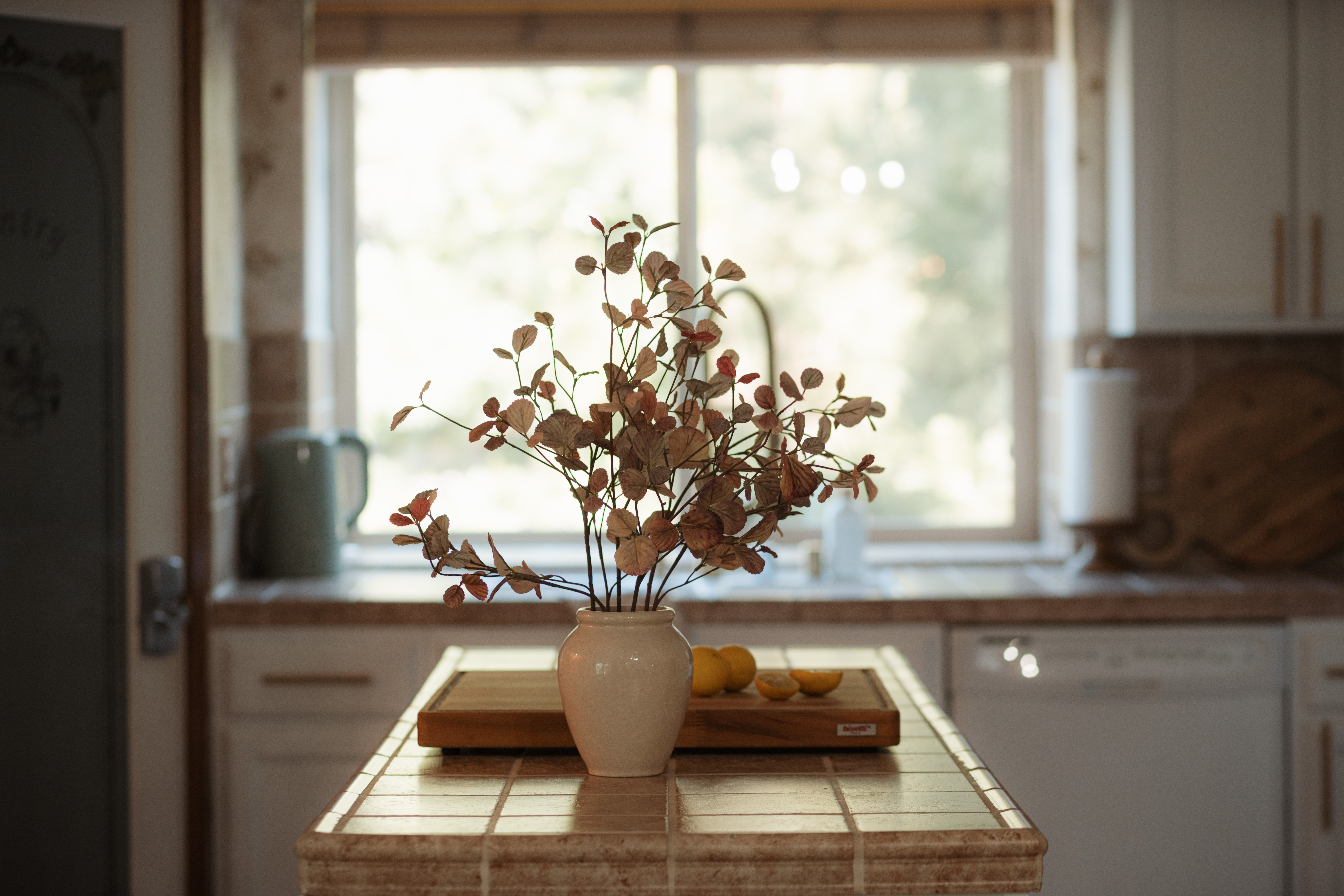 Bright rustic kitchen with sunlit island and warm natural charm