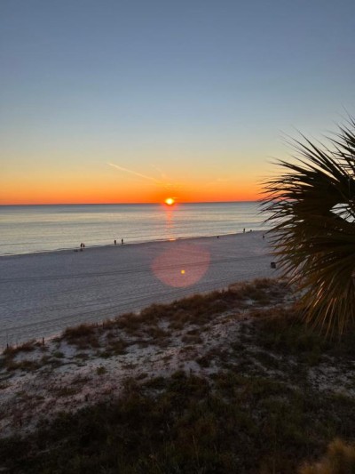 Shores of Panama 330 rental in Panama City Beach