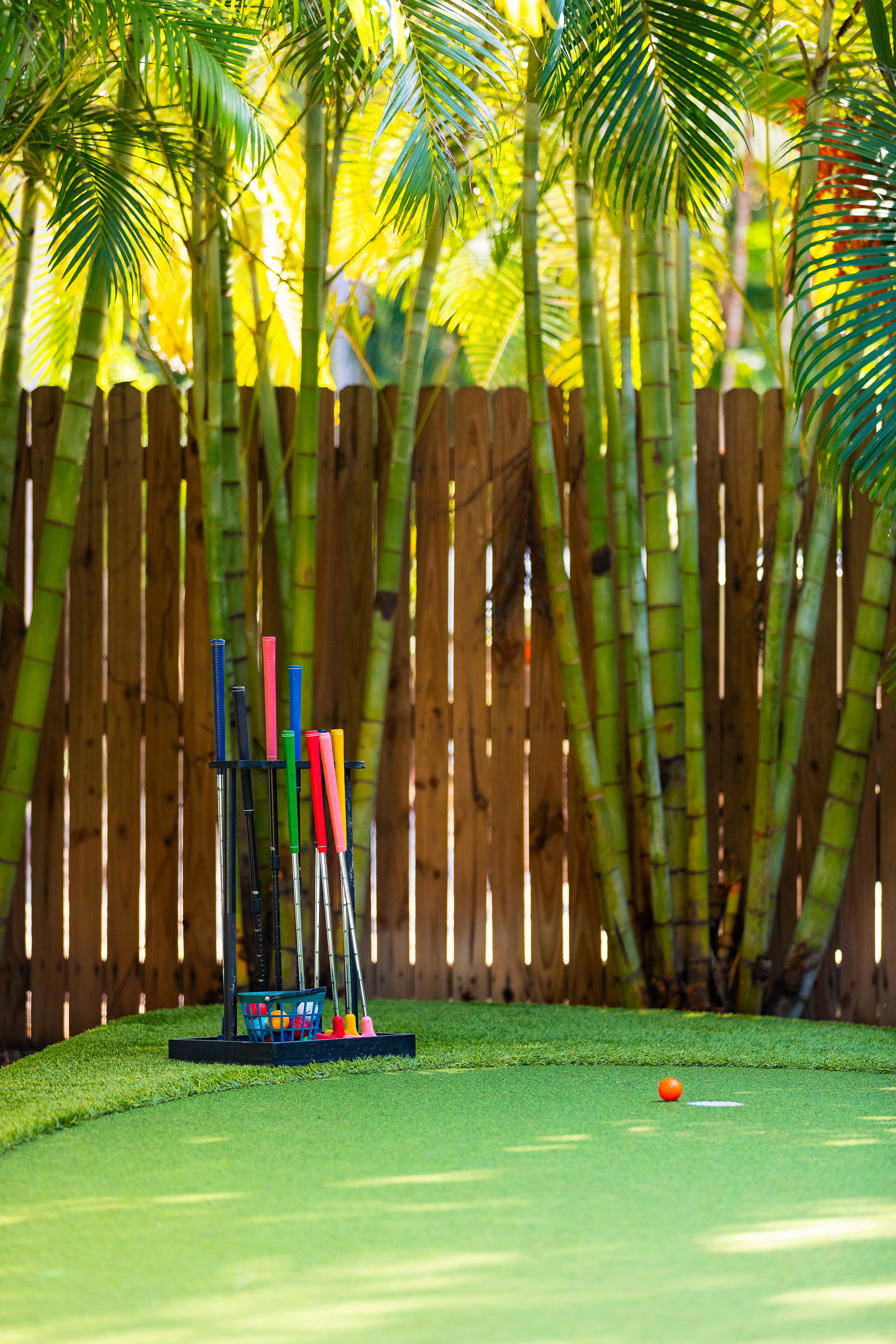 Tropical backyard putting green