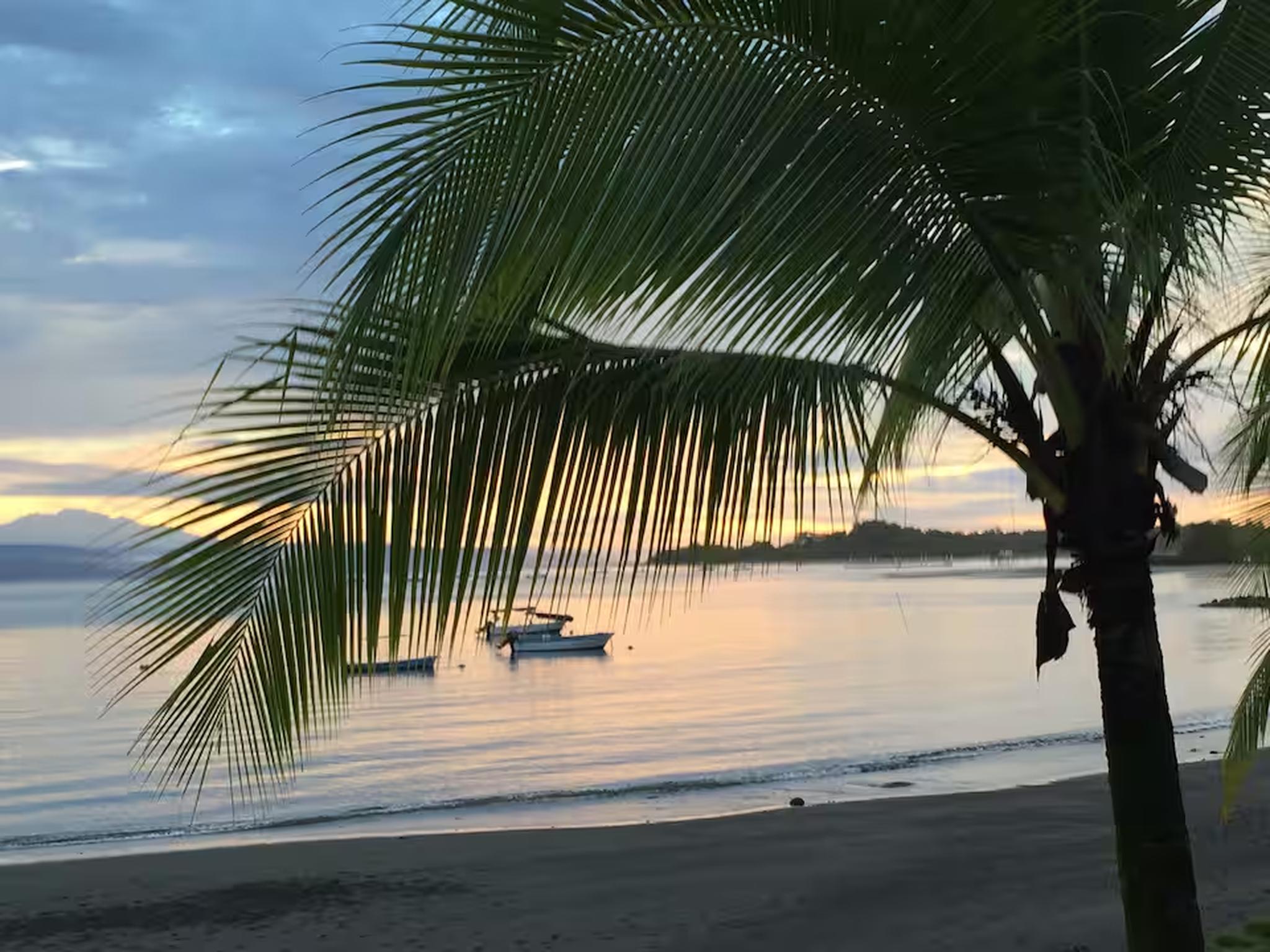Tranquil palm-fringed beach with calm waters and sunset boat views