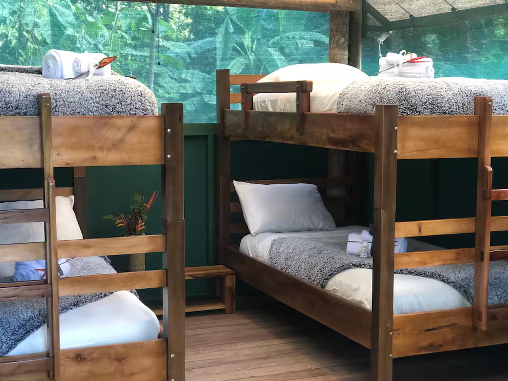 Cozy bunk room with forest views—perfect for families and groups