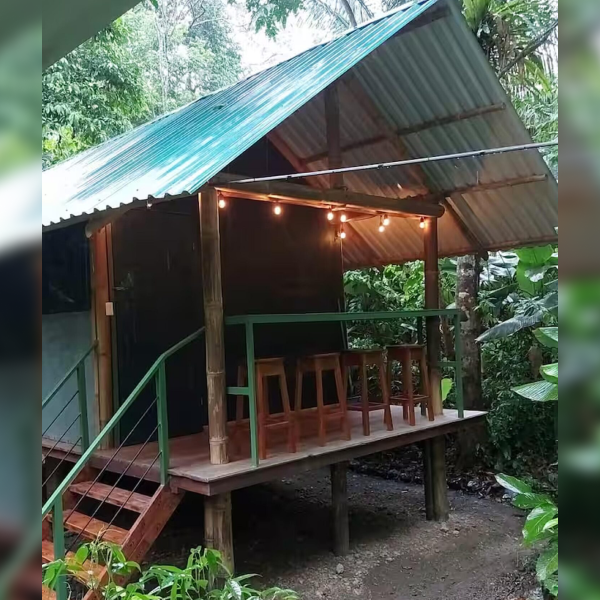 Cozy jungle cabin with covered porch, bar seating, and ambient string lights