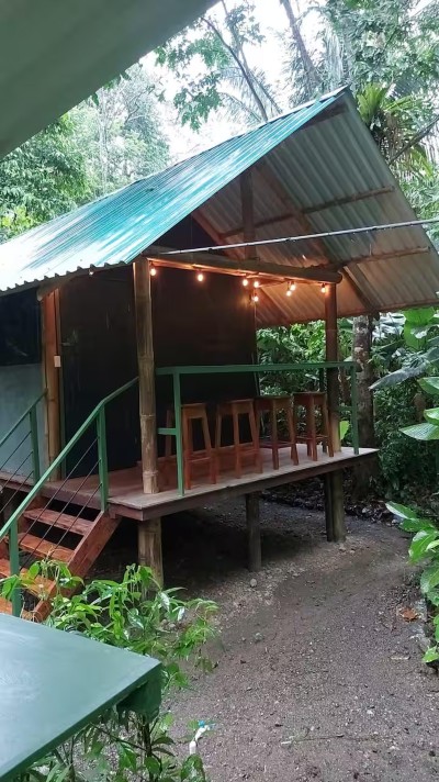 Cozy jungle cabin with covered porch and inviting outdoor seating