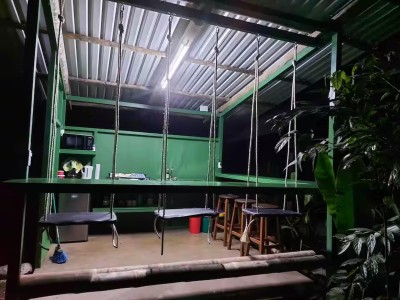 Unique open-air swing dining area with kitchenette and tropical ambiance