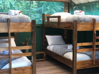 Cozy bunk room with forest views—perfect for families and groups