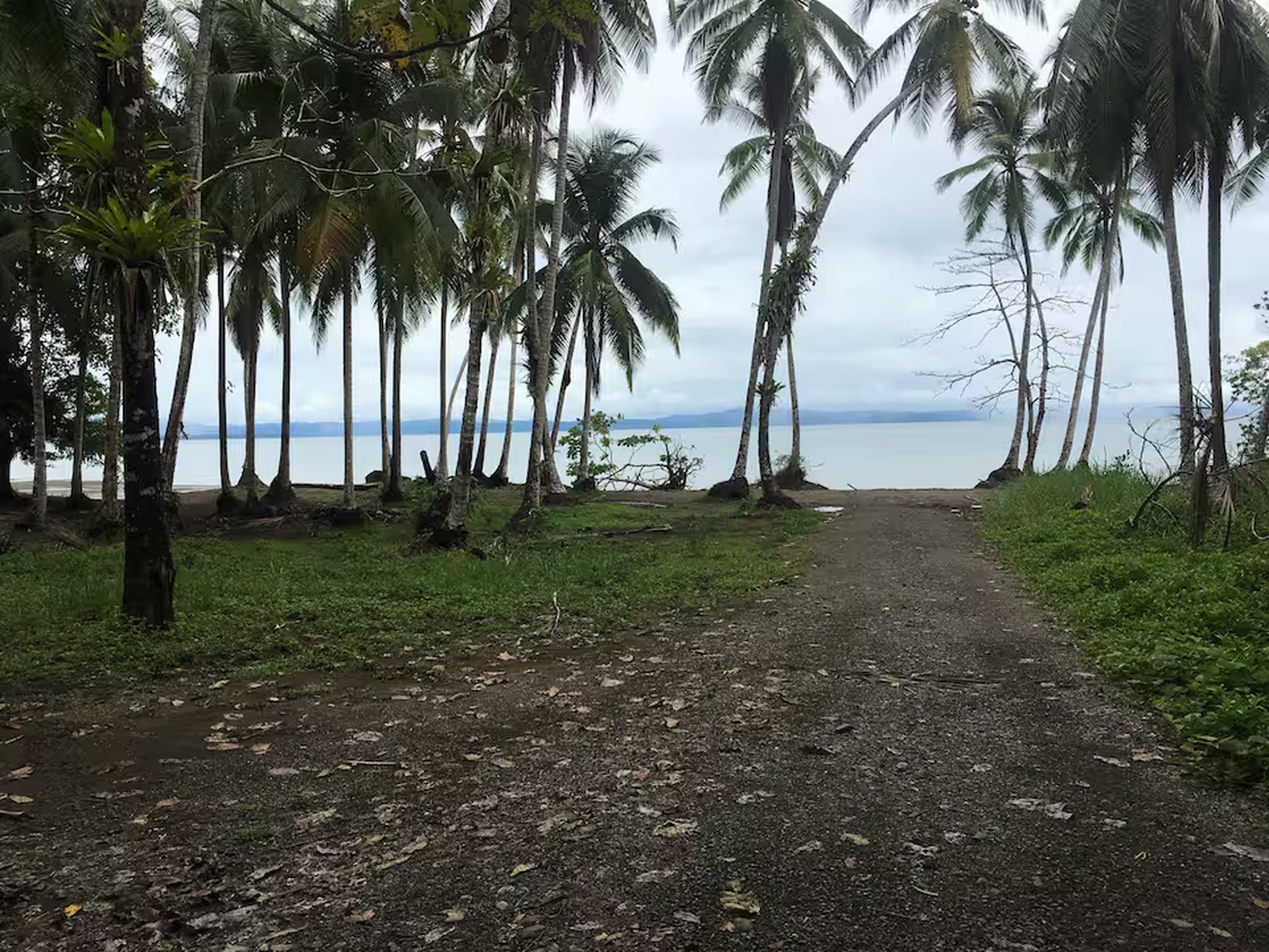 Tropical palm-lined path leading to a quiet, scenic beachfront retreat