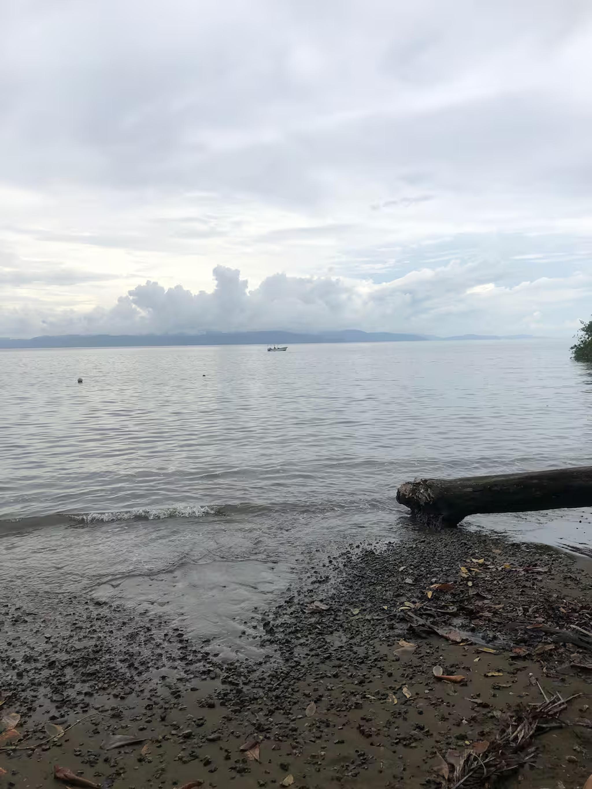 Tranquil waterfront views with a peaceful natural shoreline