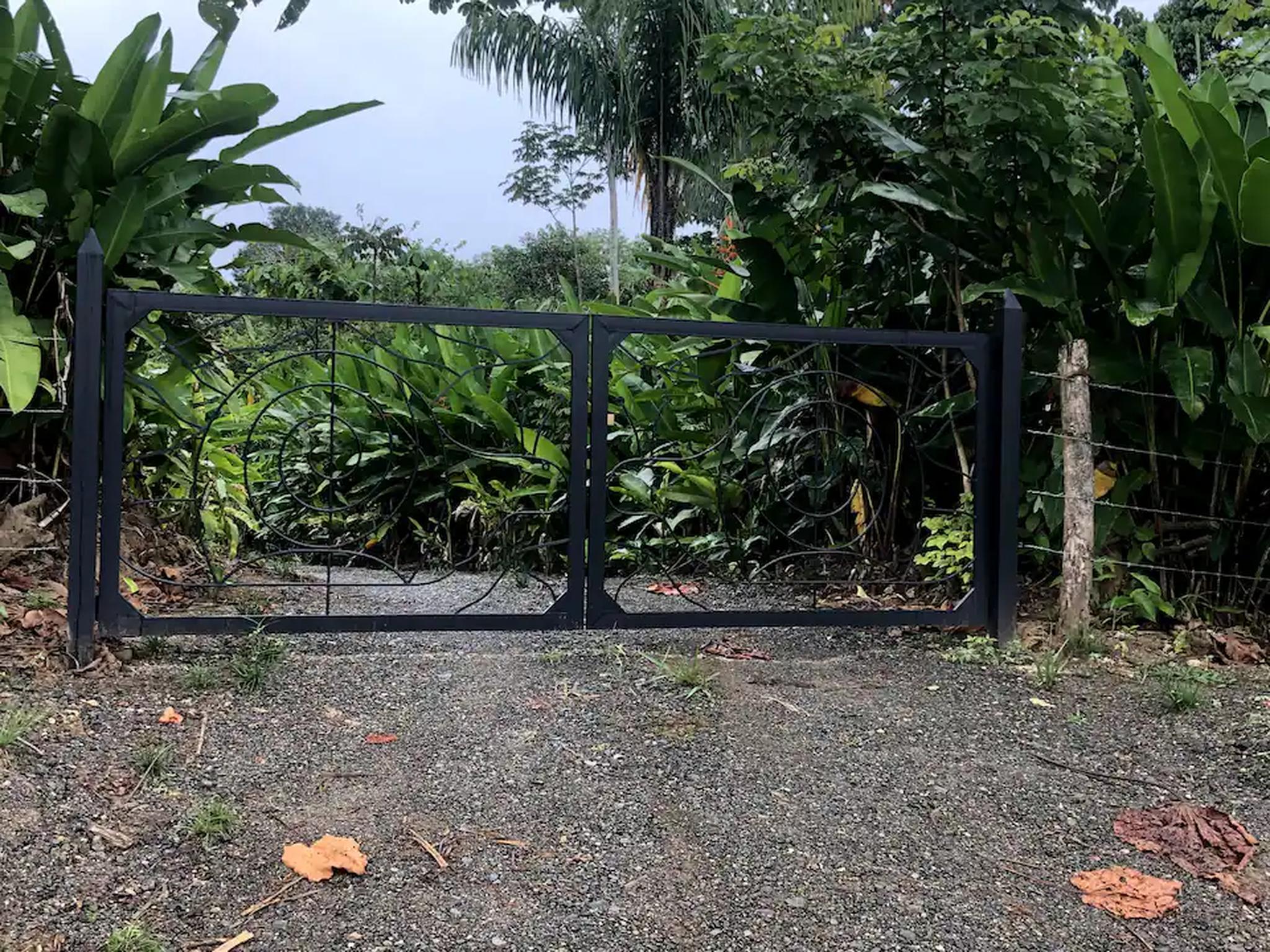 Private tropical gated entrance with lush greenery and serene driveway
