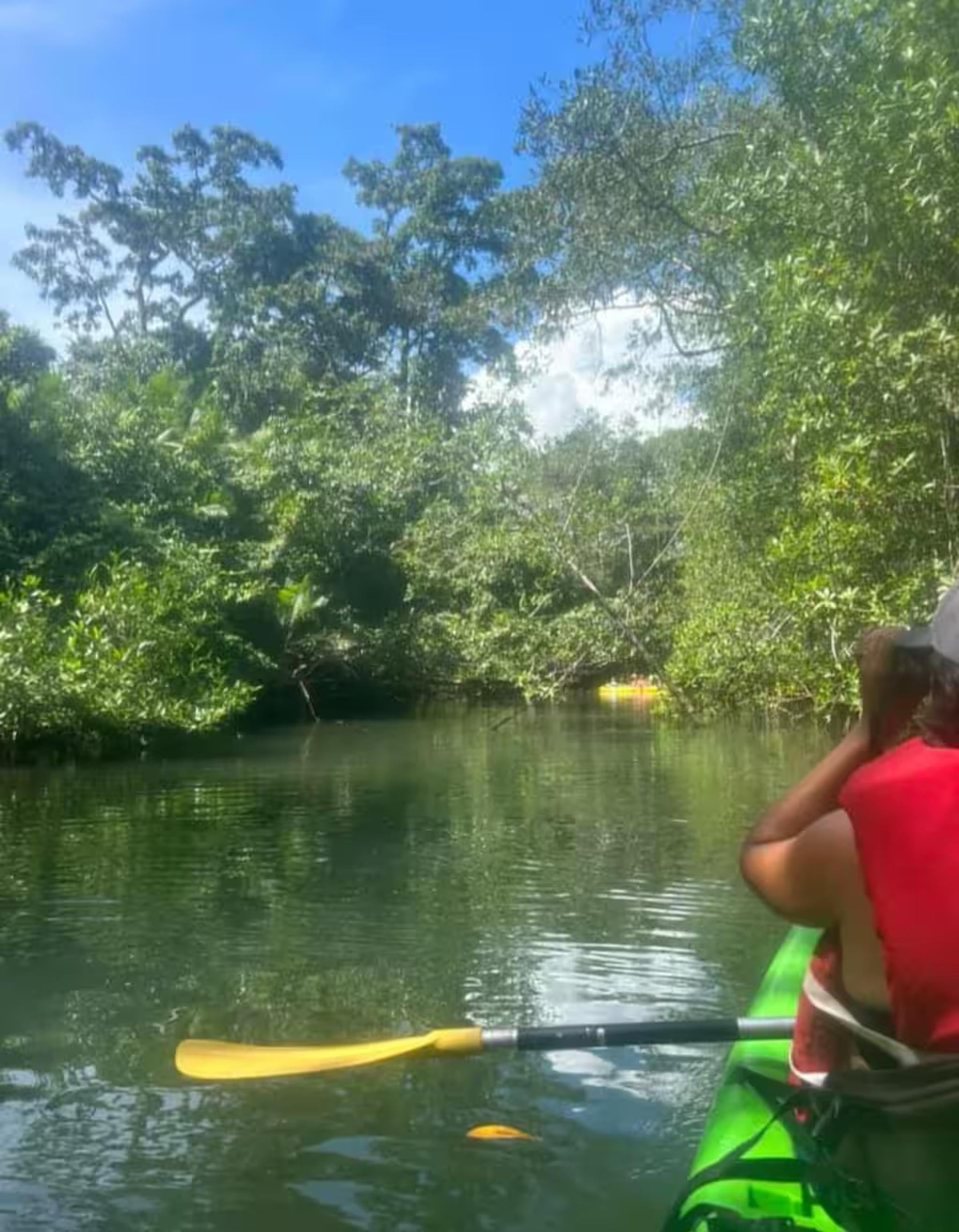 Peaceful kayaking through lush tropical waterways