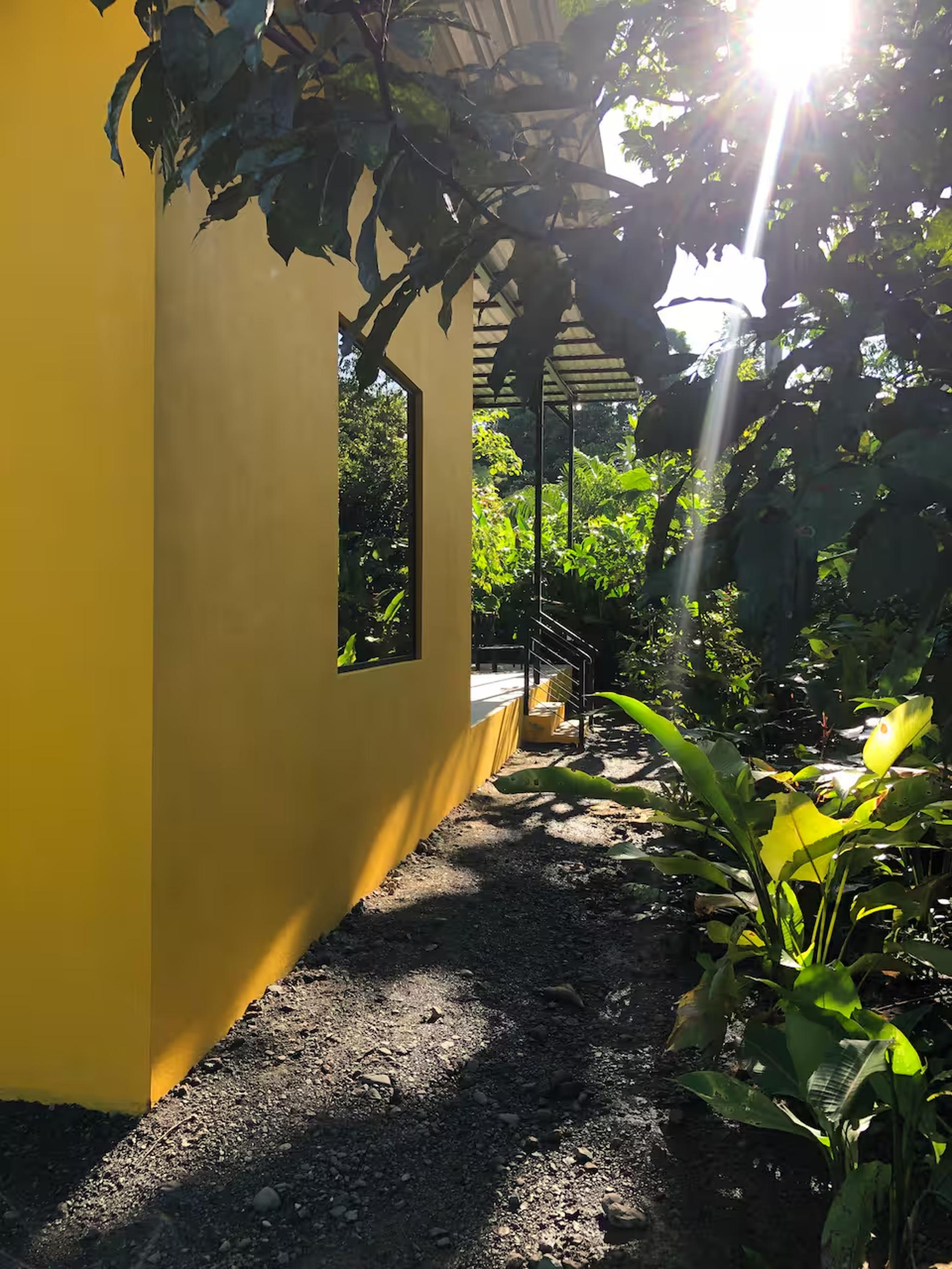 Sunlit tropical walkway with lush greenery and private entry