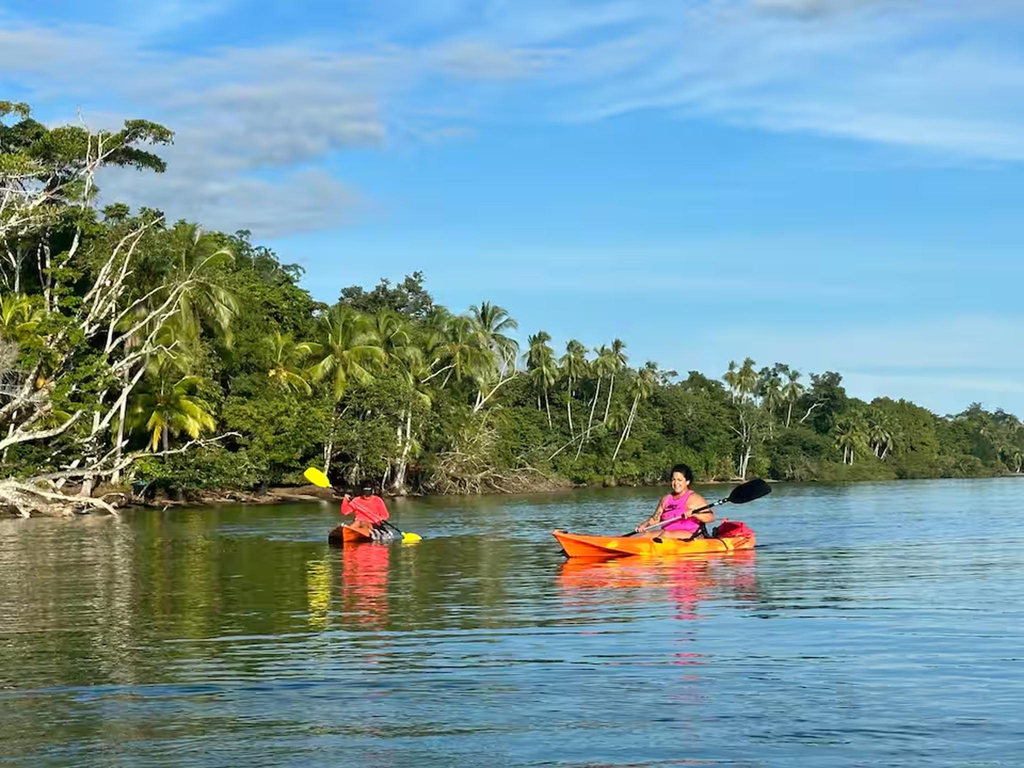 Kayak through მშვიდ tropical waters framed by lush palms and jungle views