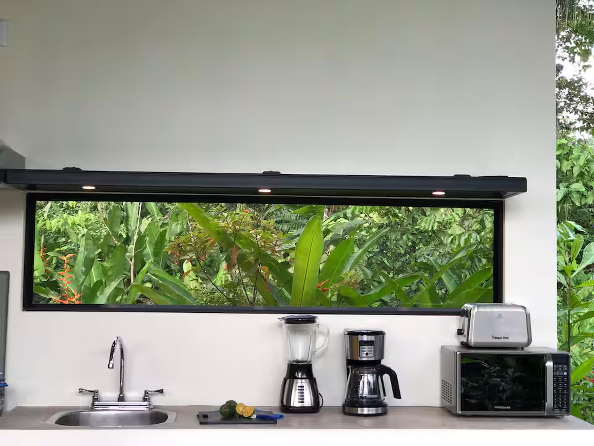 Bright tropical kitchenette with jungle-view window and coffee setup