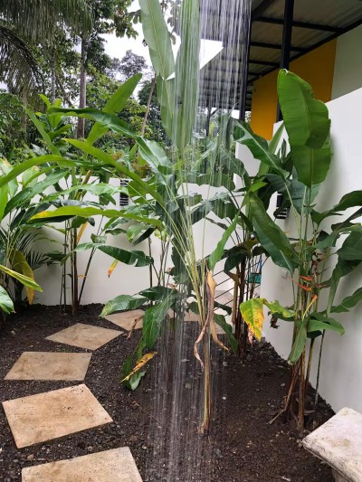 Private tropical outdoor shower with lush greenery and spa-like ambiance