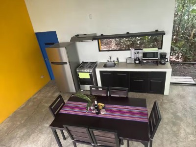 Modern kitchen and dining area with jungle views and vibrant design