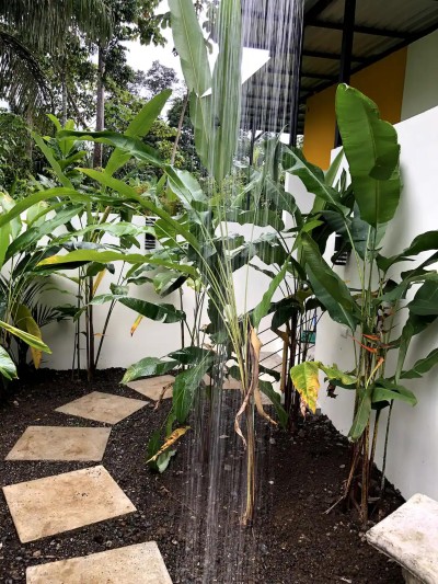 Private tropical outdoor shower with lush garden views and spa-like ambiance