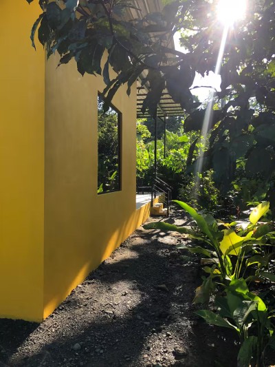 Sunlit tropical walkway beside a vibrant garden retreat