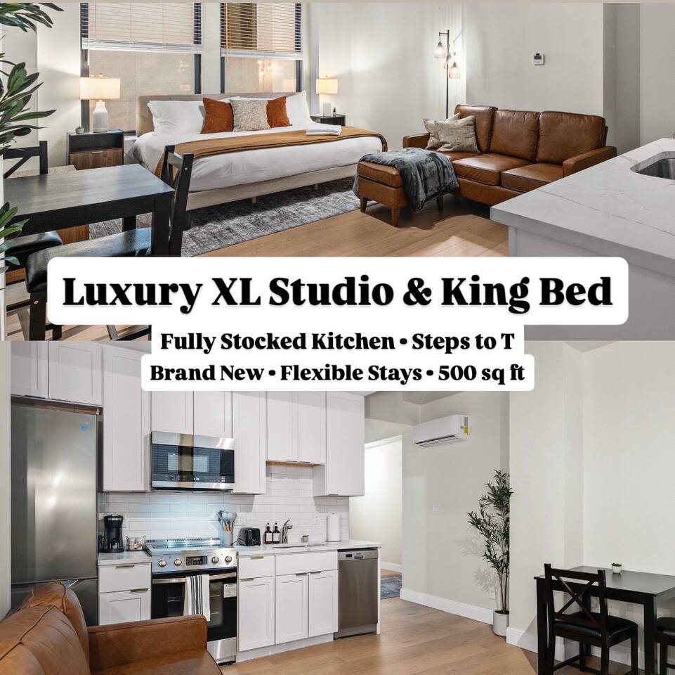 701M NEW Luxury Boston Studio By Hospitals Subway