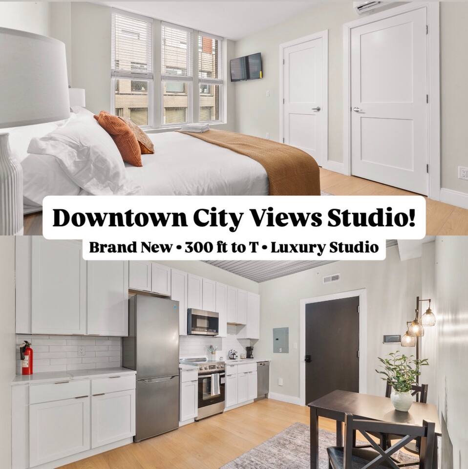 802B HUGE New Downtown Boston Studio Walk to T