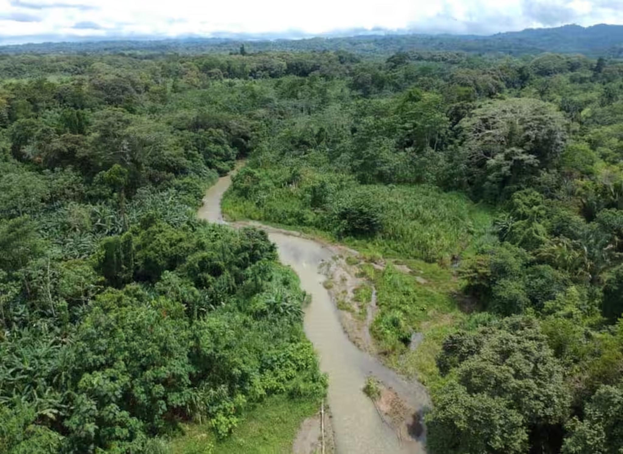 Serene river winding through lush tropical forest views